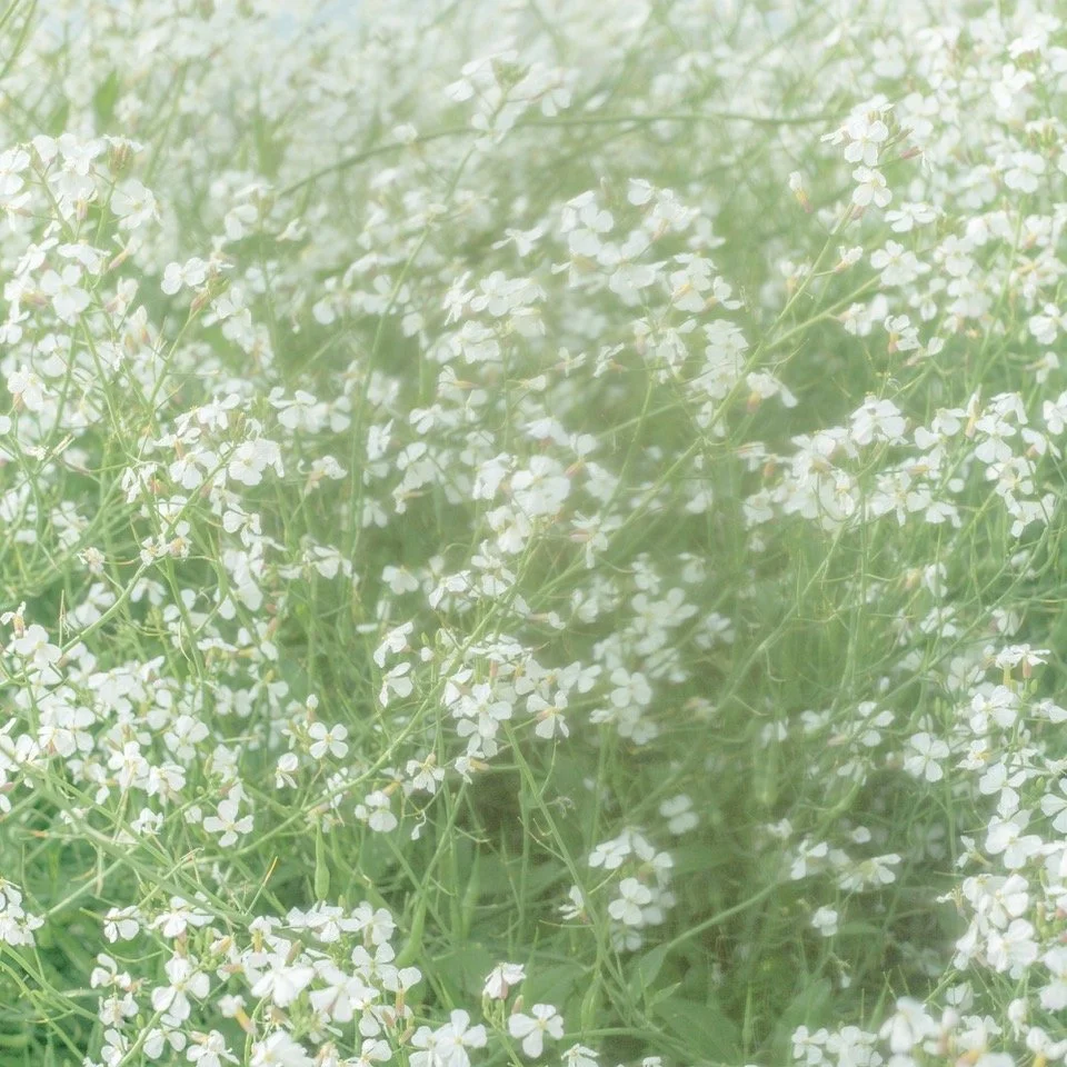 いつもの場所、いつもの私、岡山。
